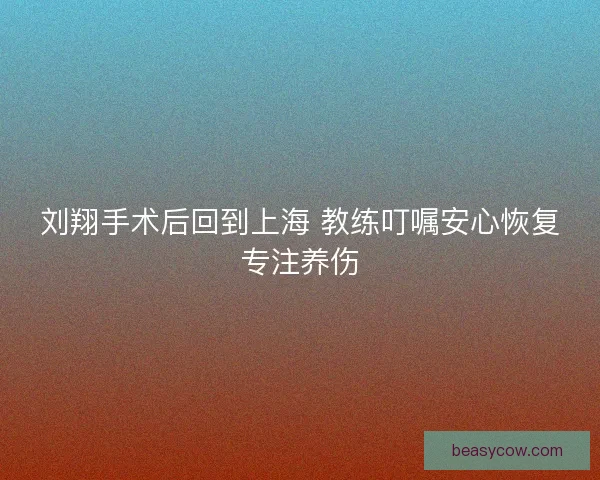 刘翔手术后回到上海 教练叮嘱安心恢复专注养伤